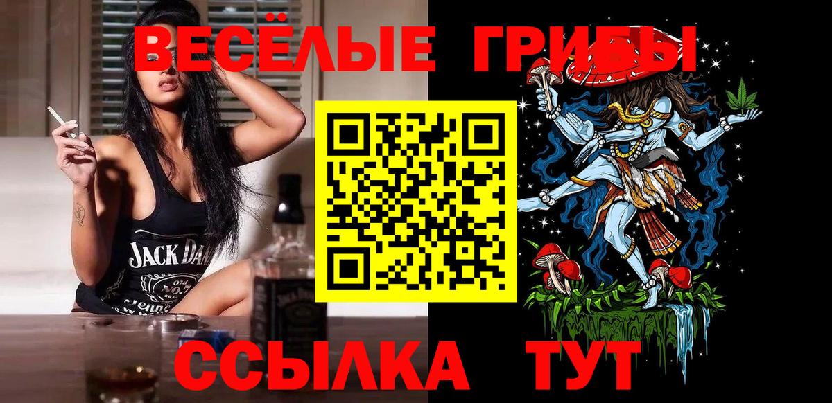 Галлюциногенные грибы Psilocybe Богданович